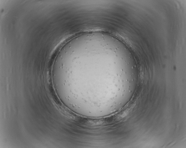 X0000075380351200609080917