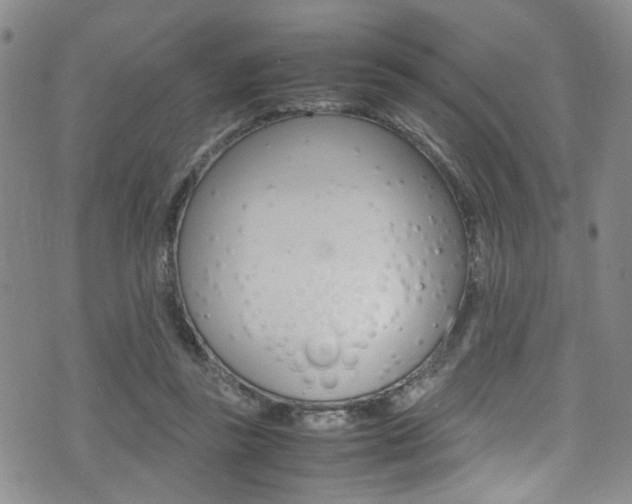 X0000075380355200609080917