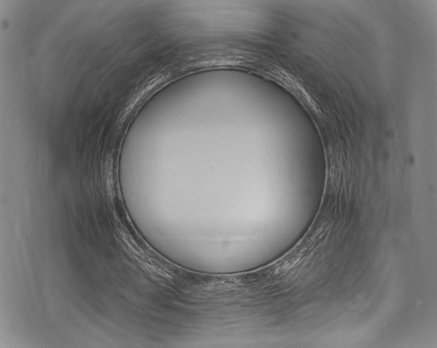 X0000075380386200609080917