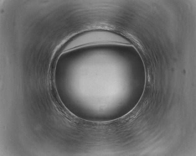 X0000075380388200609080917