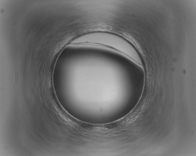 X0000075380393200609080917