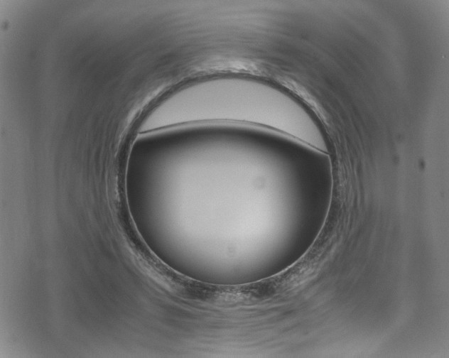 X0000075380399200609080917