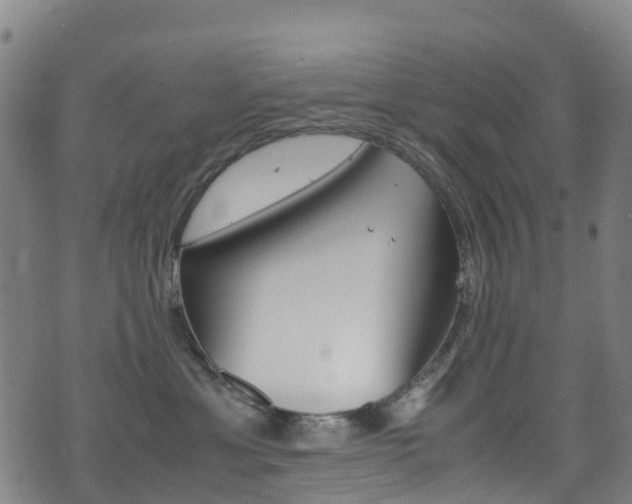 X0000075380429200609080916