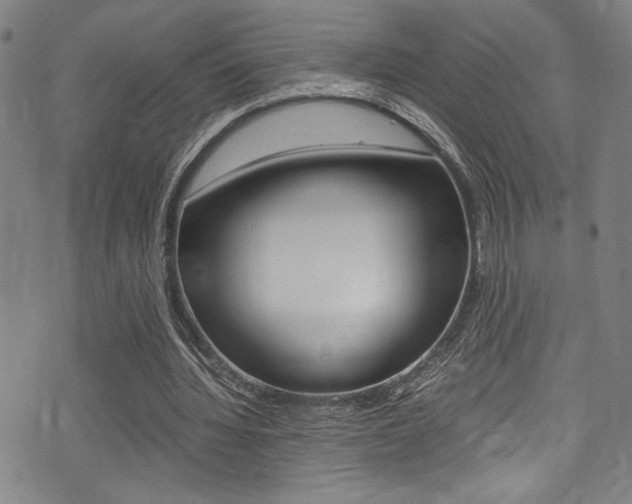 X0000075380436200609080915