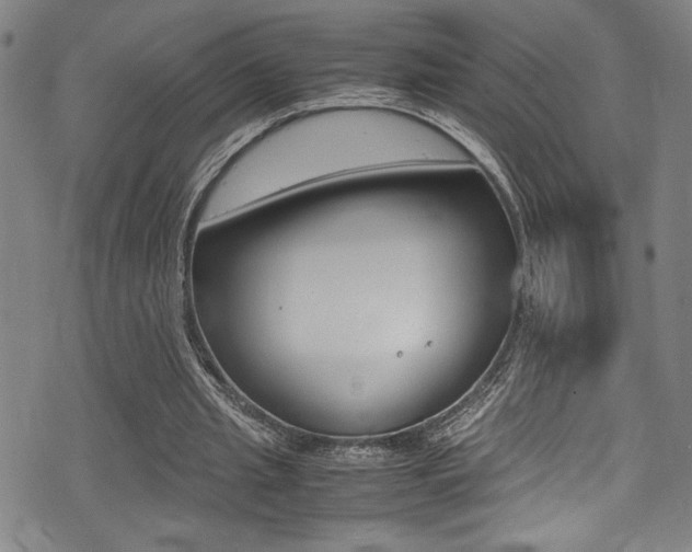 X0000075380437200609080915