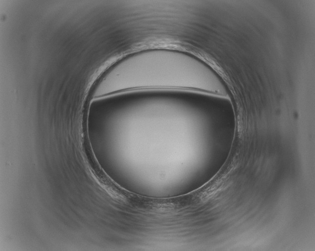 X0000075380438200609080915