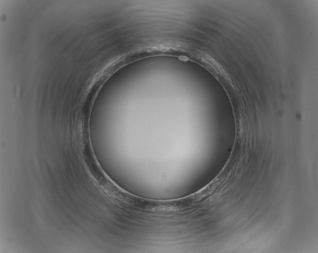 X0000075380444200609080915