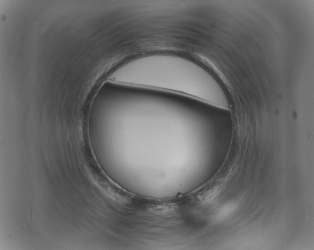 X0000075380447200609080915