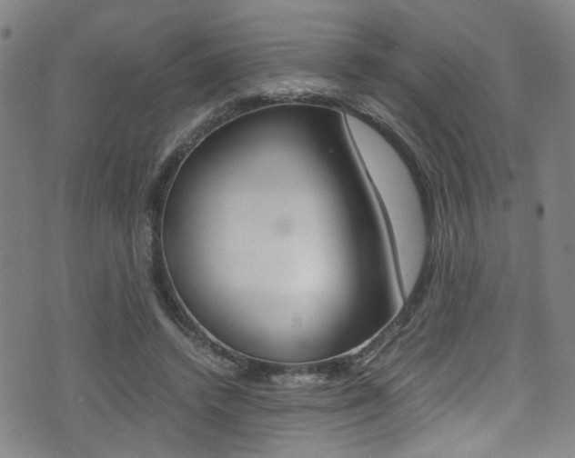 X0000075380448200609080916