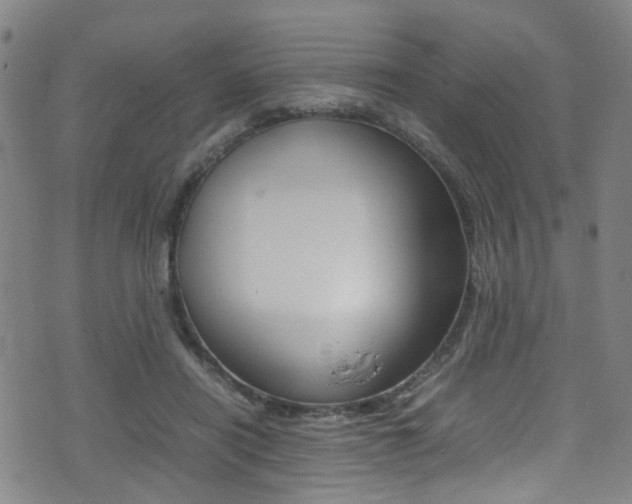 X0000075380454200609080916