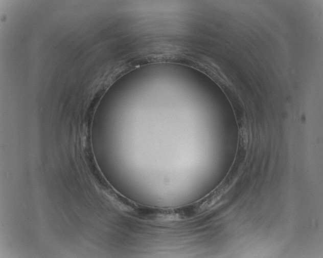 X0000075380458200609080916