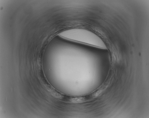 X0000075380461200609080916