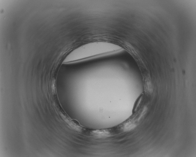 X0000075380477200609080916