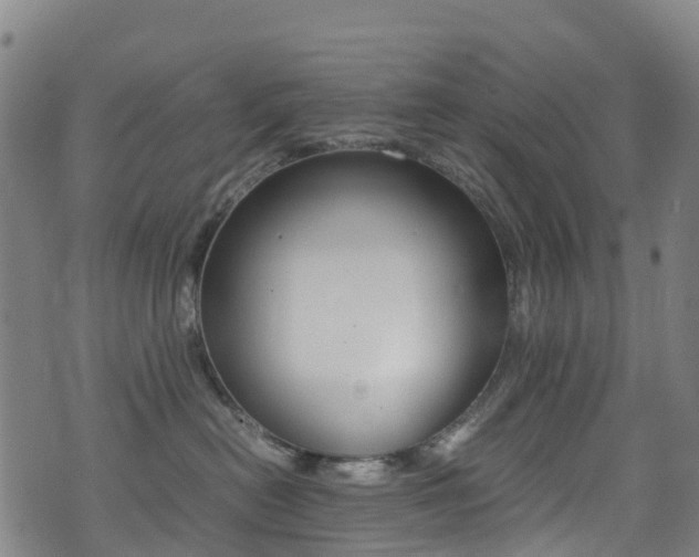 X0000075380478200609080916