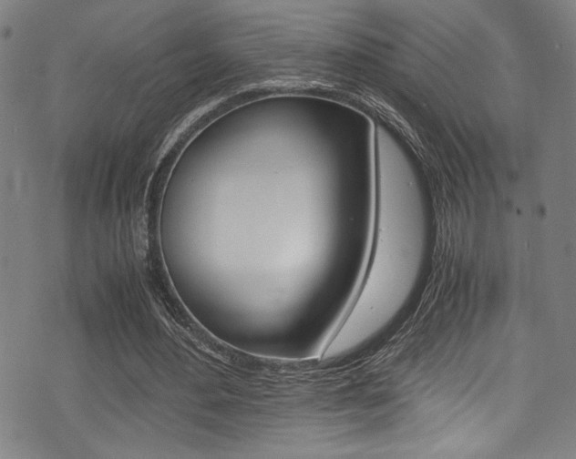 X0000075380484200609080915