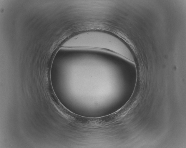 X0000075380489200609080915