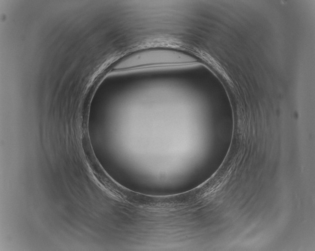X0000075380530200609080914
