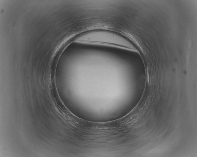 X0000075380531200609080914