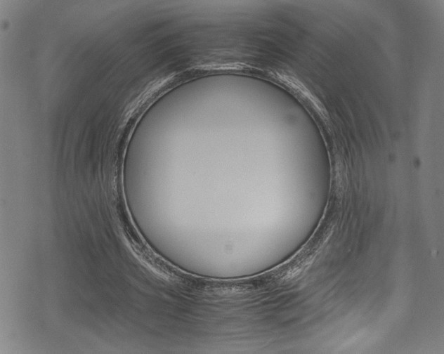 X0000075380533200609080914