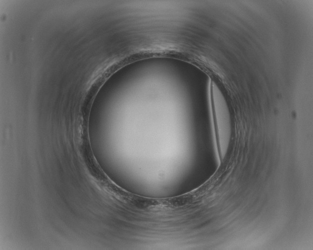 X0000075380544200609080914