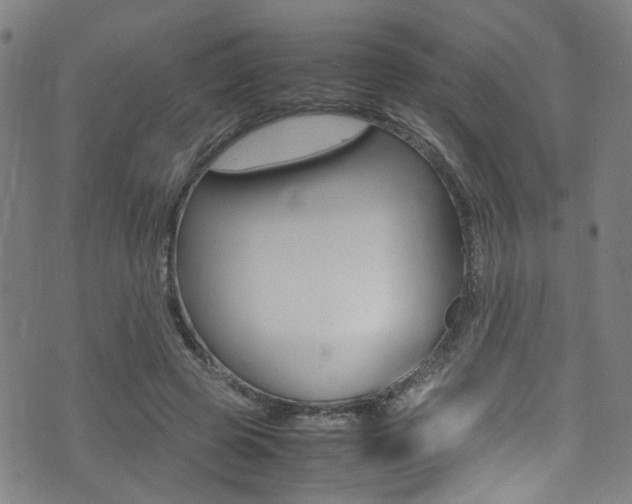 X0000075380545200609080914