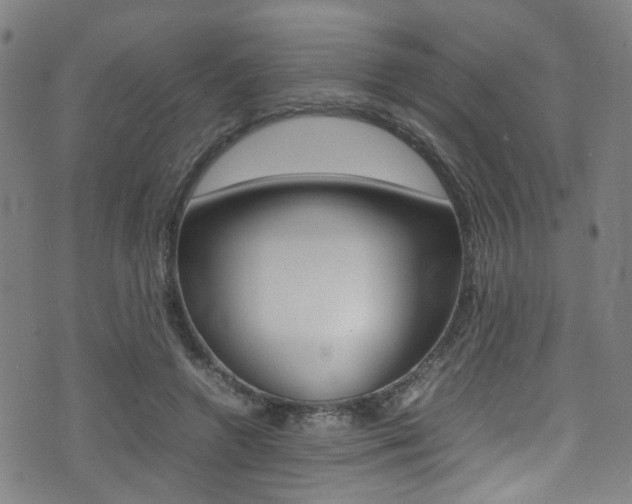 X0000075380546200609080914