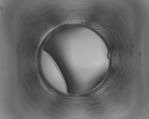 X0000075380584200609080914