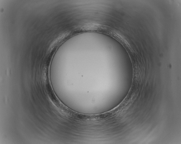 X0000075380586200609080914