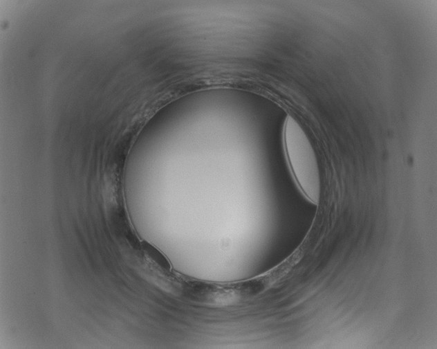 X0000075380604200609080913