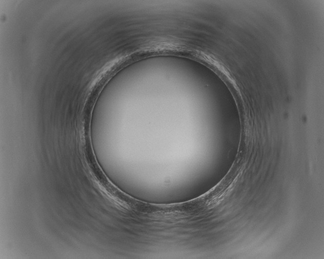 X0000075380629200609080912