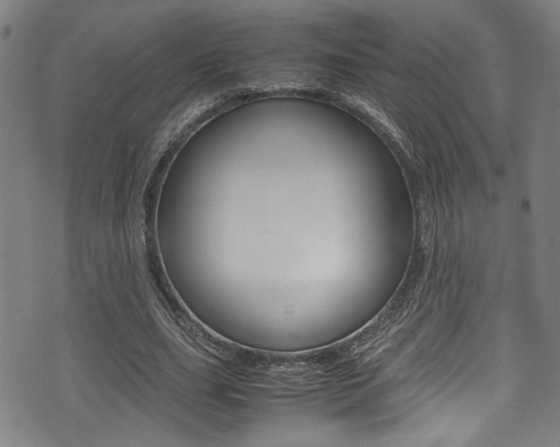 X0000075380631200609080912