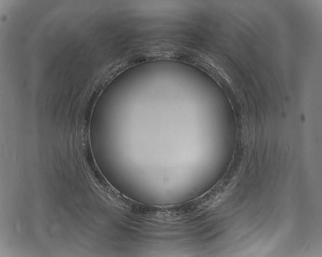X0000075380641200609080912