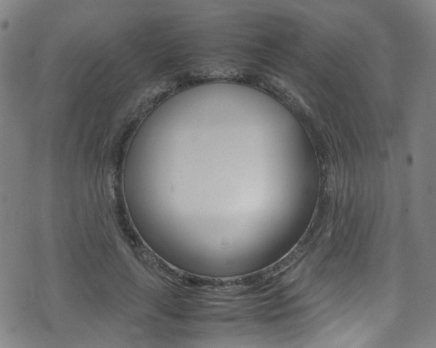 X0000075380643200609080912