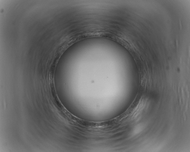 X0000075380647200609080913