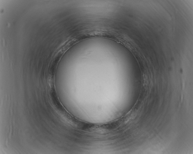 X0000075380648200609080913