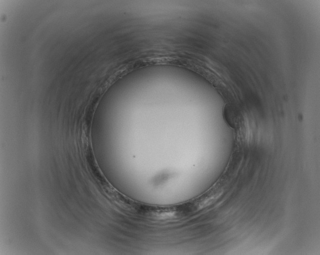 X0000075380651200609080913