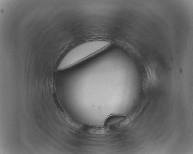 X0000075380661200609080913