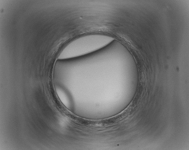 X0000075380687200609080912