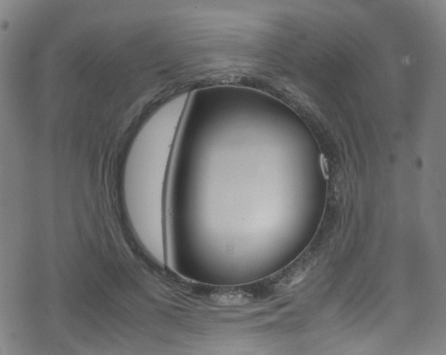 X0000075380693200609080912