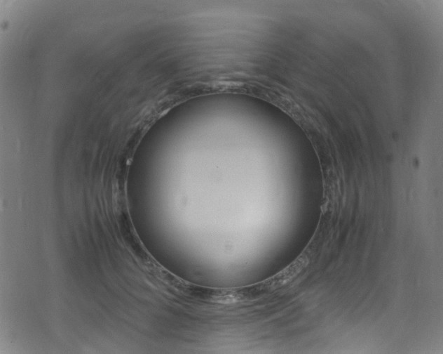 X0000075380704200609080912