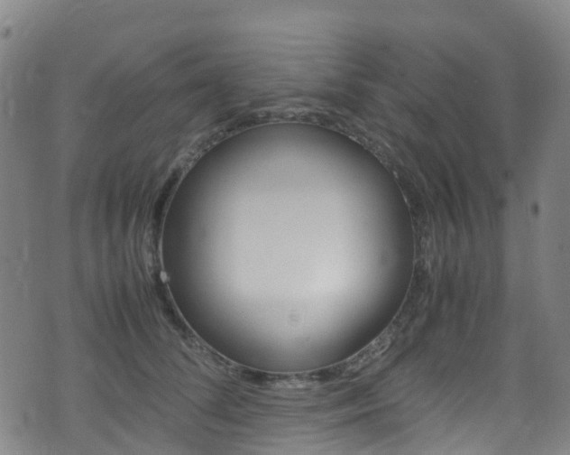 X0000075380708200609080912