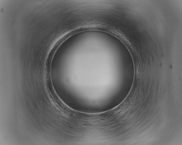 X0000075380724200609080911