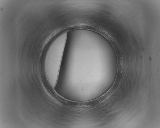 X0000075380734200609080911