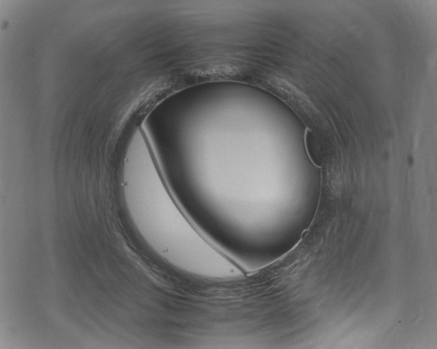 X0000075380735200609080911