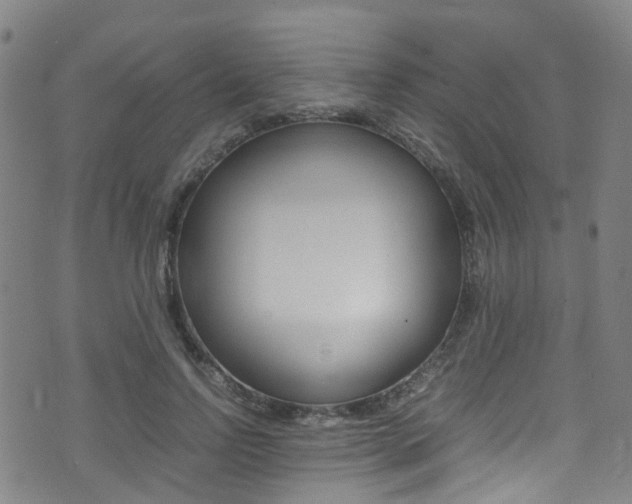 X0000075380742200609080911