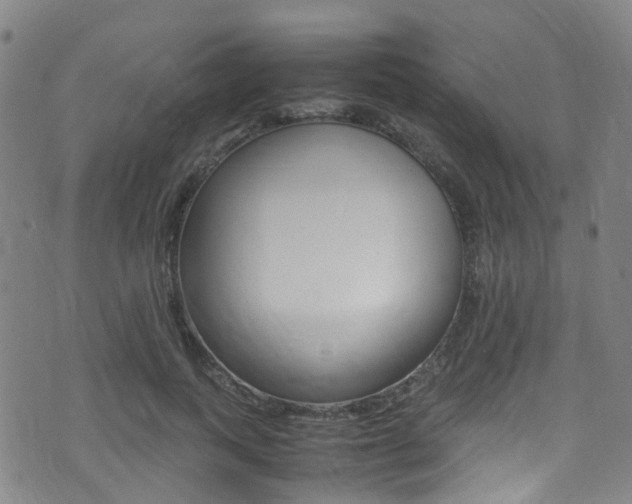 X0000075380743200609080911