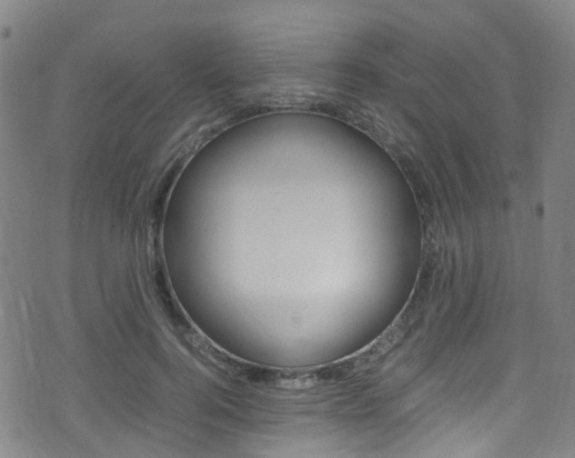 X0000075380744200609080911