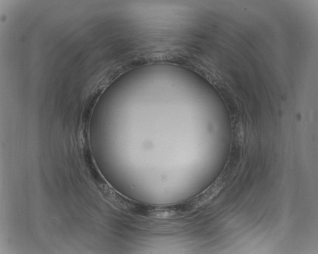 X0000075380746200609080911