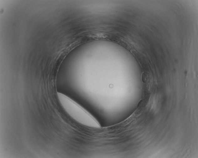X0000075380747200609080911