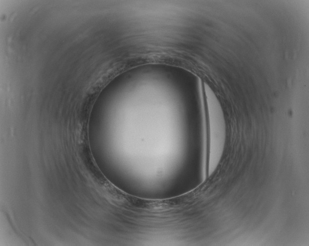 X0000075380750200609080911